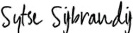 Sid Signature.jpg
